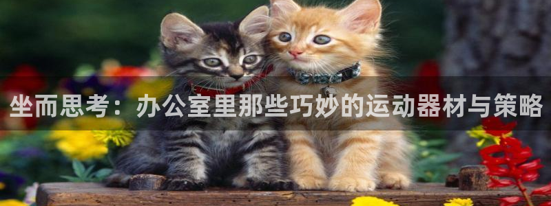 fb体育娱乐网站:坐而思考:办公室里那些巧妙的运动器材与策略