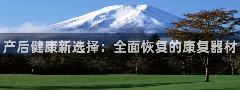 fb体育代理:产后健康新选择:全面恢复的康复器材